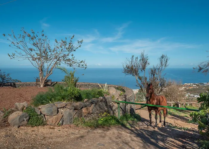 Rural House Tenerife Relax منزل ريفي Santa Úrsula