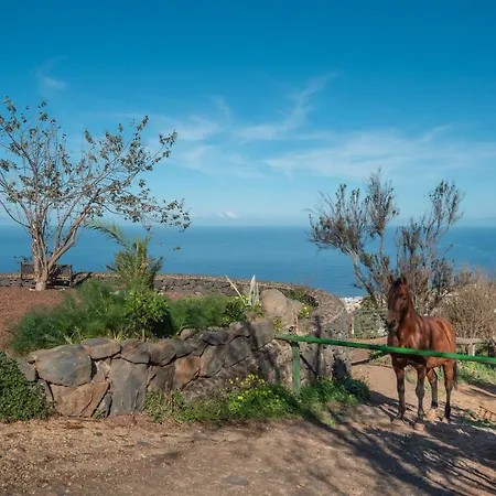 Rural House Tenerife Relax Lantställe Santa Úrsula